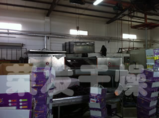 薯条薯片多套油炸真空干燥机